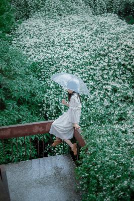 名侦探柯普通话免费观看